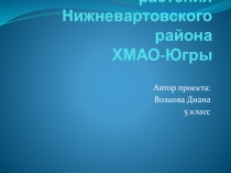 Презентация Лекарственные растения Нижневартовского района ХМАО-Югры
