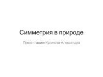 Презентация по геометрии на тему симметрия в природе ( 11 класс)