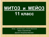 Презентация по биологии на тему: Митоз и мейоз (10 класс)