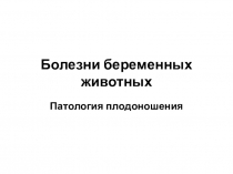 Презентация по акушерству сельскохозяйственных животных на тему: Болезни беременных животных Лекции.