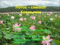 Презентация: Лотос - символ Калмыкии
