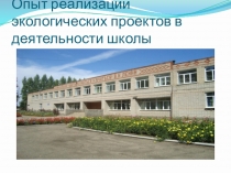 Опыт реализации экологических проектов в деятельности школы
