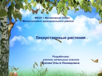 Презентация по внеурочной деятельности  Лекарственные растения