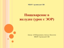 Презентация по биологии на тему Пищеварение в желудке (8 класс)