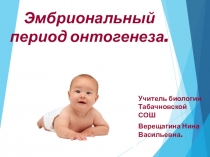 Эмбриональное развитие организма