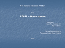 Презентация научного проекта Профилактика заболеваний глаз