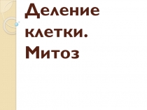 Презентация по биологии на тему Деление клетки 10 класс