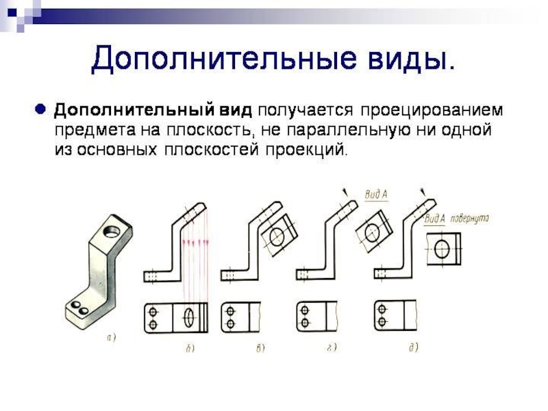 Презентация по ИГ: Виды