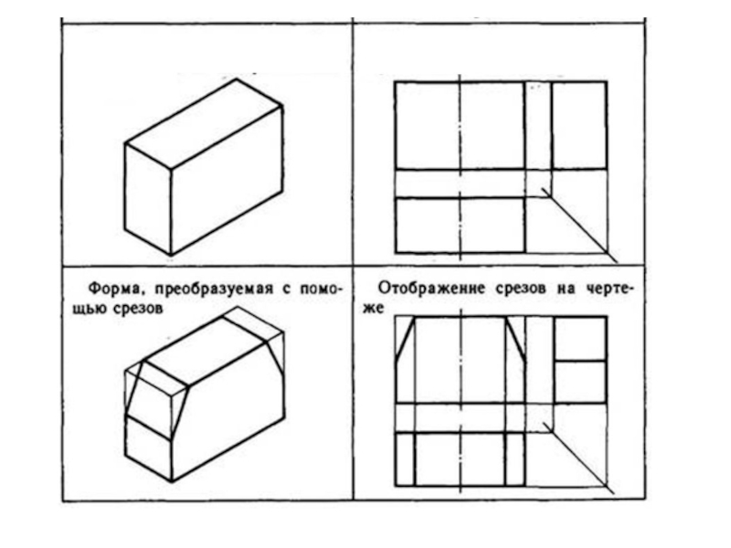 Презентация по ИГ: Виды