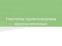 Презентация Гипотезы происхождения многоклеточных