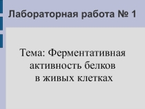 Презентация к уроку биологии по теме Лабораторная работа Ферментативная активность белков в живых клетках
