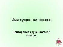 Презентация по русскому языку по теме Имя существительное. Повторение изученного в начальной школе