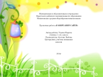 В мире кинусайги