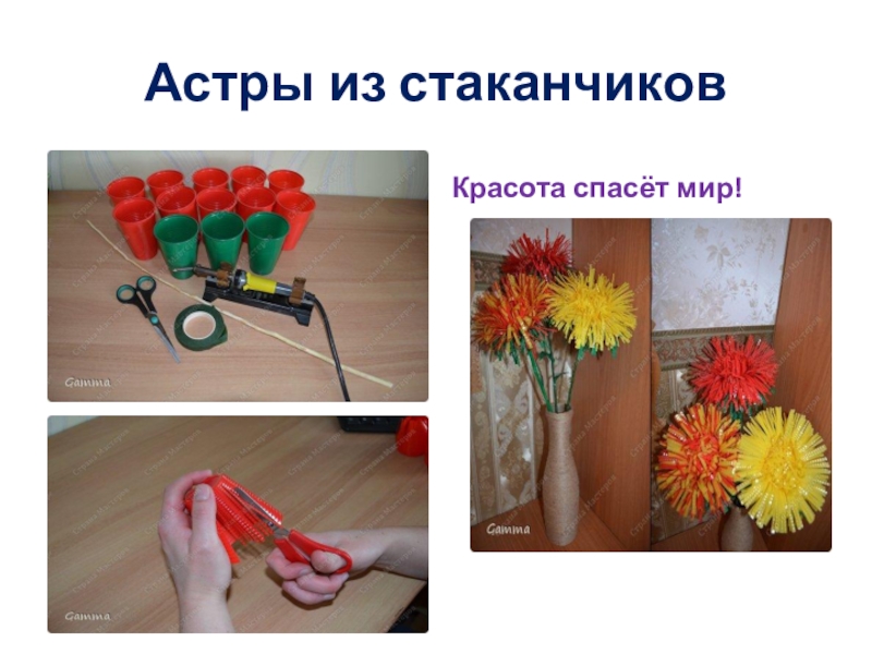 Классный час по экологии Презентация Поможем очистить планету от мусора или вторая жизнь ненужных вещей Астры из стаканчиковКрасота спасёт мир! Астры из стаканчиковКрасота спасёт мир!