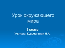 Презентация к уроку Искусственное сообщество-поле