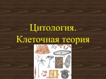 Цитология. Клеточная теория