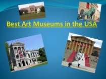 Best Art Museums in the USA