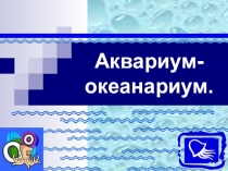 Презентация по окружающиму миру