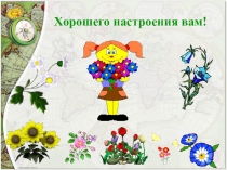 Презентация к уроку ФГП Южной Америки 7 класс