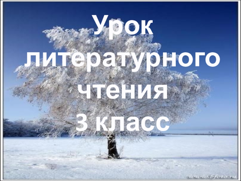 Презентация по литературному чтению по теме С. А. Есенин Берёза (3 класс)