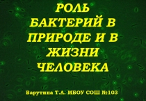 Презентация по биологии Роль бактерий в природе и жизни человека 7 класс