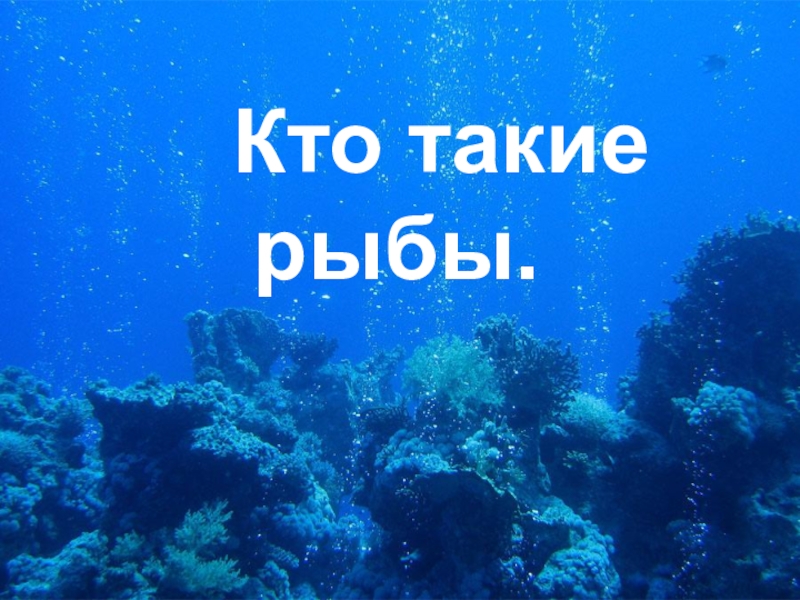 Презентация по естествознанию на Тема:  Кто такие рыбы? (8 класс)