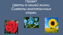 Презентация к внеклассному мероприятию-защите проекта по английскому языку Цветы в нашей жизни. Символика англоязычных стран.