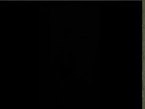 Презентация по молдавскому языку на тему Думитру Матковски