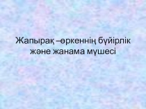 Жапырақ