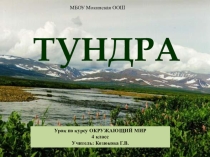 Презентация по окружающему миру на тему Тундра 4 класс