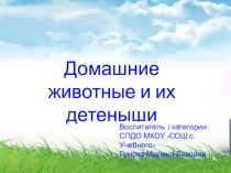 Презентация Домашние животные и их детеныши
