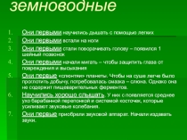 Презентация по биологии на тему: Разнообразие и значение земноводных(7 класс)