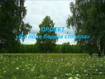 ПРОЕКТ Во поле береза стояла
