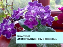 Презентация к уроку Информационное моделирование (10 класс)