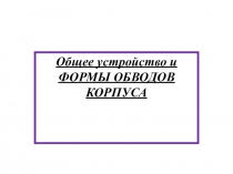 ПРЕЗЕНТАЦИЯ по обще профессиональной дисциплине Теория и устройство судна