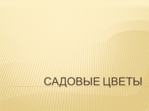 Презентация для подготовительной группы Садовые цветы