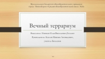 Проект по биологии Вечный террариум (9 класс)