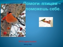Презентация творческого проекта Помоги птицам - поможешь себе