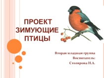 Презентация по ознакомлению с окружающим миром Зимующие птицы
