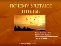 Презентация для занятия по ознакомлению с окружающим миром Куда улетают птицы?