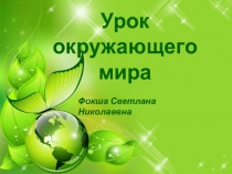 Презентация по окружающему миру.