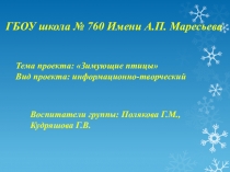 Презентация проекта в средней группе Зимующие птицы