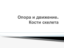 Презентация к уроку биологии на тему Опора и движение. Кости скелета
