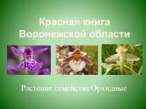 Презентация по окружающему миру (совместный проект) начальная школа