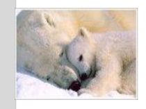 Презентация по окружающему миру 2 класс