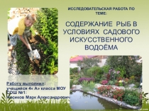 Презентация исследовательской работы Содержание рыб в условиях садового искусственного водоёма