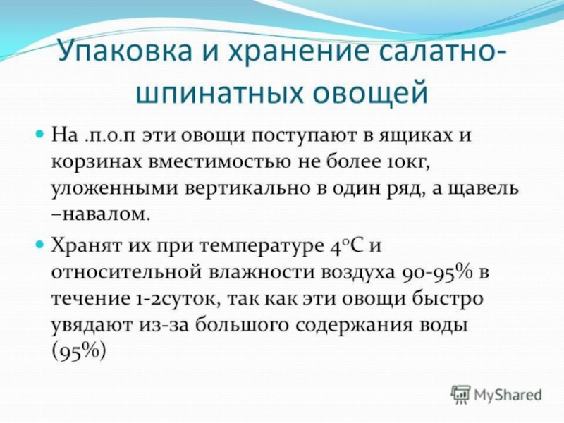 Овощи, плоды, грибы