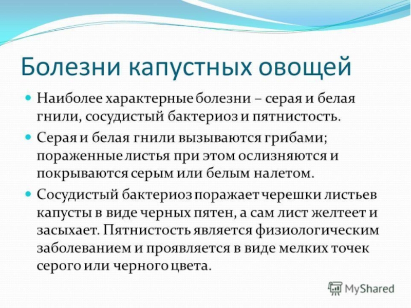 Овощи, плоды, грибы
