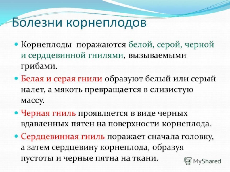Овощи, плоды, грибы