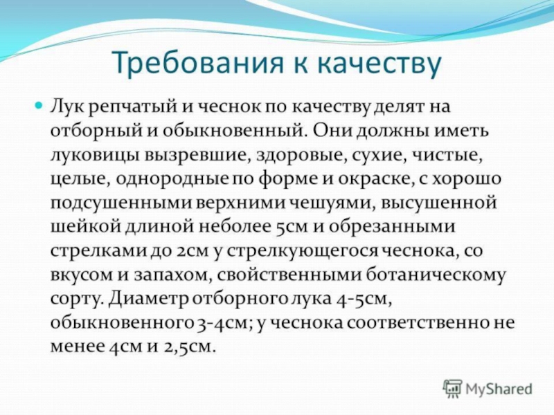 Овощи, плоды, грибы